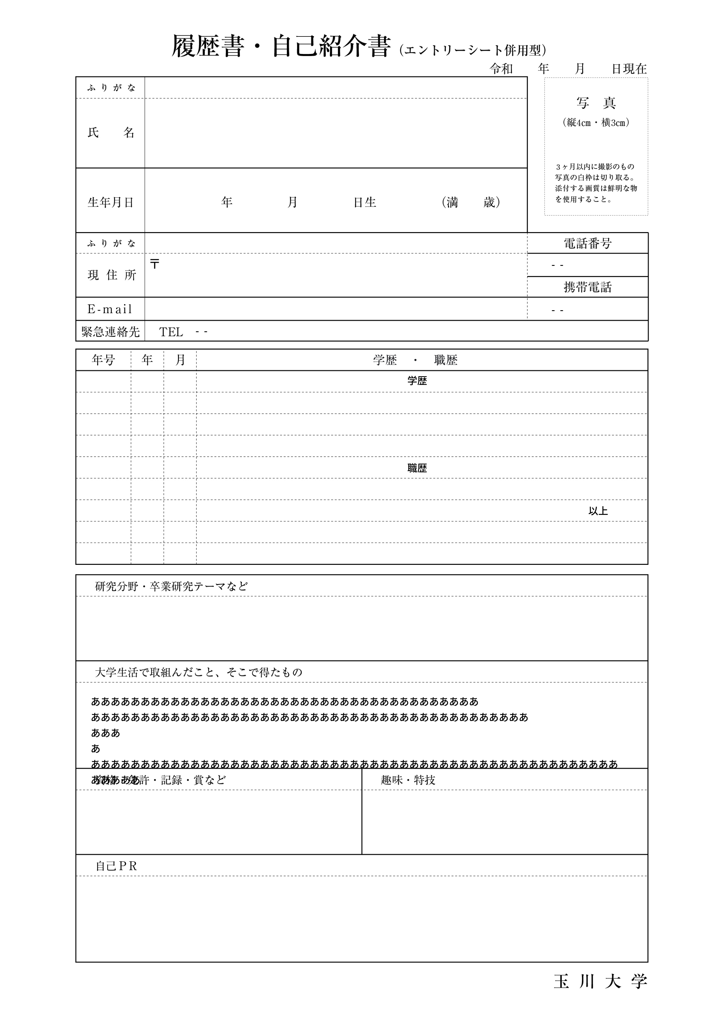 大学指定〈A4版〉（エントリーシート併用型）